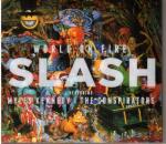 Cover for Slash - World On Fire