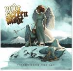 Cover for Widescreen Mode - Fallen From The Sky