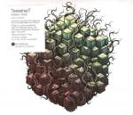 Cover for TesseracT - Polaris / Errai   (Digi)