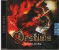 Omslagsbild för Destinia - Metal souls